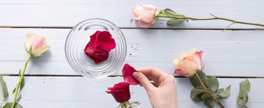 10 cách dùng nước hoa hồng đánh thức làn da tươi trẻ - Hoa Thiên Thảo