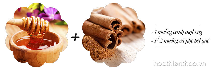 2 Công thức mặt nạ trị mụn với mật ong