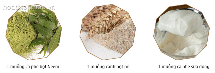 2 Mặt nạ dưỡng Homemade dành cho da rám nắng