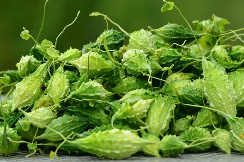 3 loại mặt nạ chăm sóc da từ trái khổ qua - Hoa Thiên Thảo