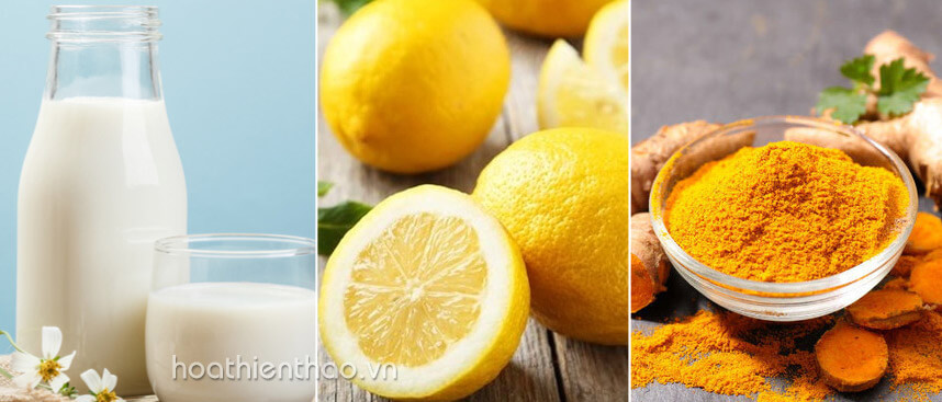4 cách dưỡng da bằng sữa tươi trắng mịn chỉ trong 1 tuần - Hoa Thien Thao Cosmetics