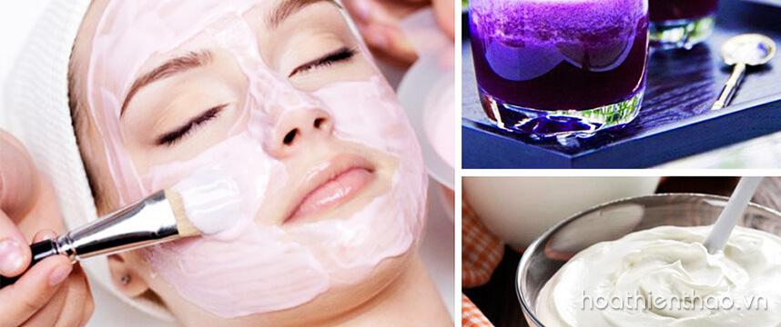 Khám phá 4 cách trị nám bằng cà tím cực hay - Hoa Thiên Thảo