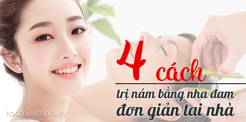 4 cách trị nám bằng nha đam đơn giản tại nhà - Hoa Thiên Thảo