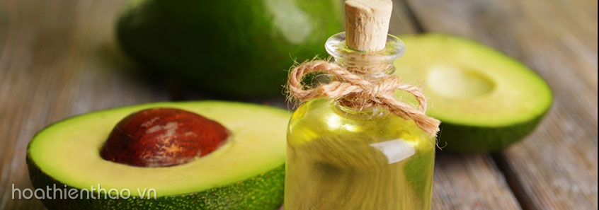 Tinh dầu bơ làm tăng độ đàn hồi da