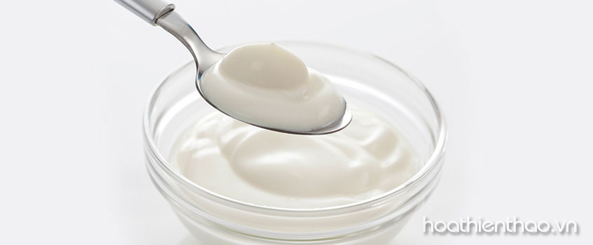 Sữa chua tái tạo tế bào da mới hiệu quả