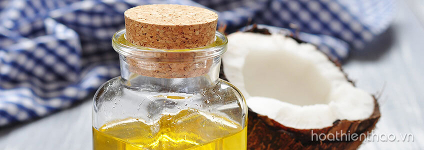 5 Cách giúp lông mi dài cong quyến rũ chỉ sau 2 tuần