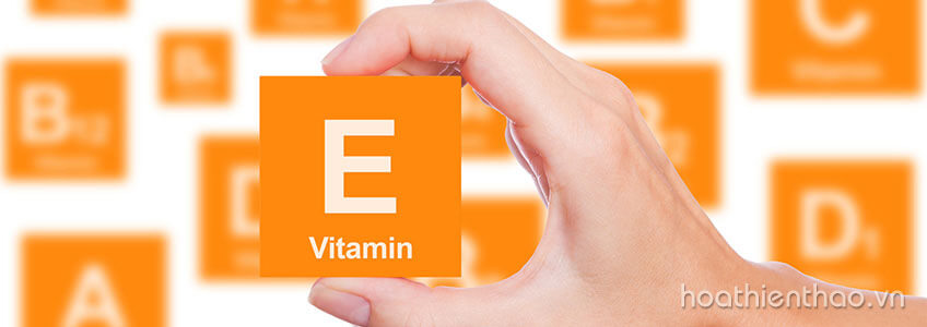 5 Cách giúp lông mi dài cong quyến rũ chỉ sau 2 tuần