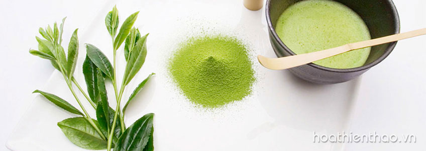 5 Cách giúp lông mi dài cong quyến rũ chỉ sau 2 tuần