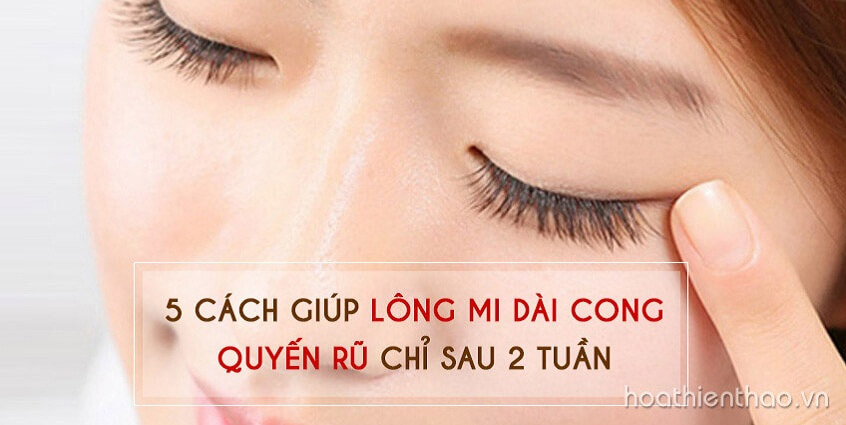 5 Cách giúp lông mi dài cong quyến rũ chỉ sau 2 tuần