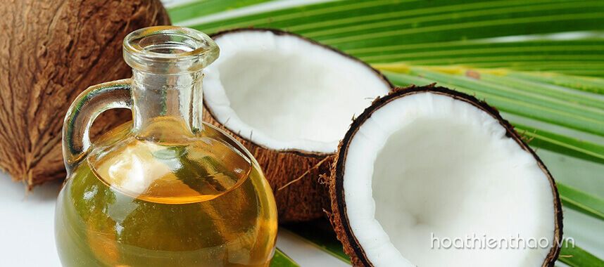 5 Cách làm kem dưỡng trắng da mặt hiệu quả nhất - Hoa Thiên Thảo