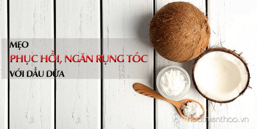 5 Công thức mặt nạ dưỡng tóc từ dầu dừa