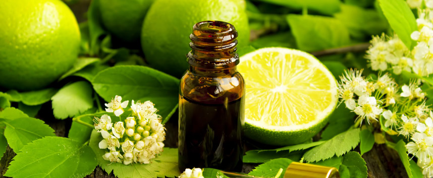 5 loại tinh dầu giúp điều trị nám da - Hoa Thiên Thảo