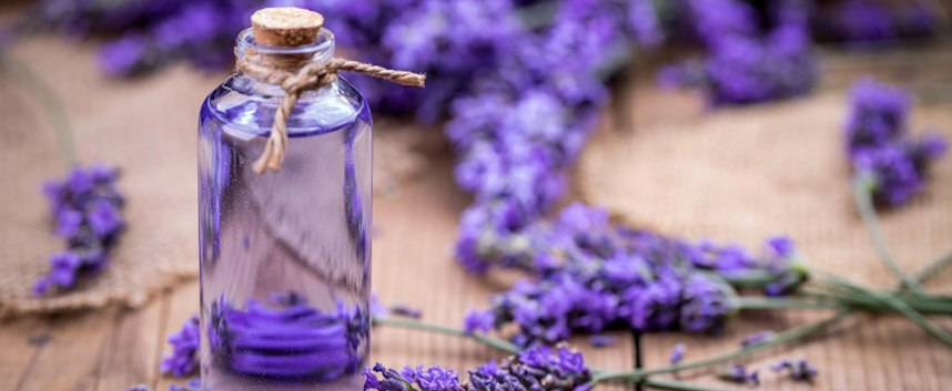 5 loại tinh dầu giúp điều trị nám da - Hoa Thiên Thảo