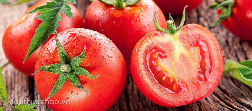 6 cách trị nám hiệu quả nhất bằng trái cây - Hoa Thiên Thảo