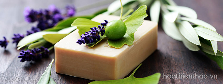 Xà phòng làm mất đi Vitamin D tự nhiên của da