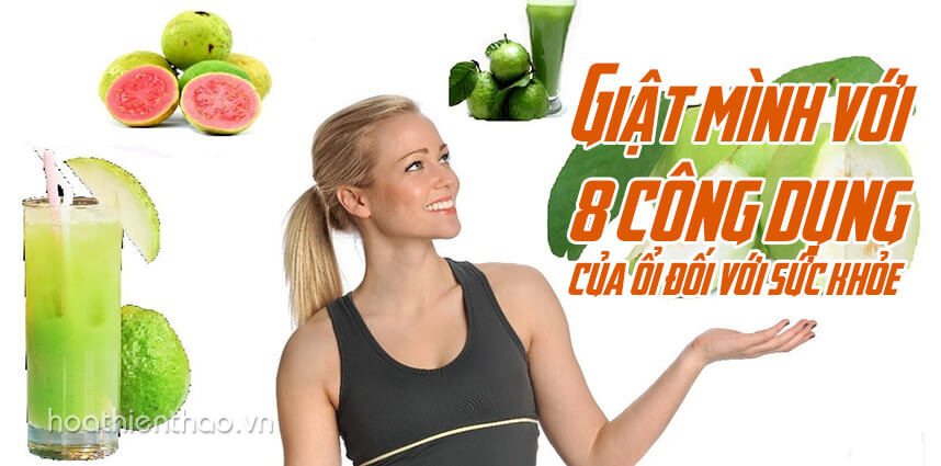 8 công dụng của ổi đối với sức khỏe - Hoa Thien Thao Cosmetics