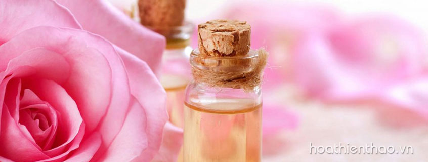 9 cách tẩy trang tự nhiên siêu sạch