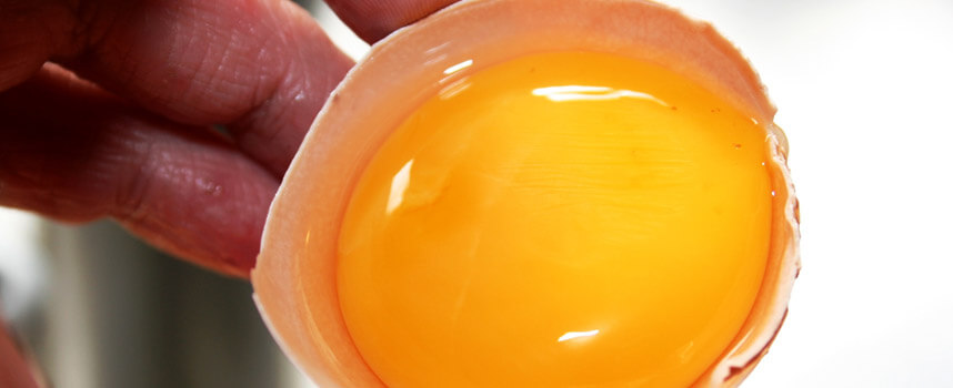 9 loại mặt nạ tự nhiên cứu làn da khô nứt nẻ - Hoa Thiên Thảo