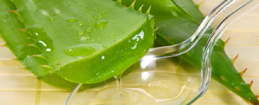 9 loại mặt nạ tự nhiên cứu làn da khô nứt nẻ - Hoa Thiên Thảo