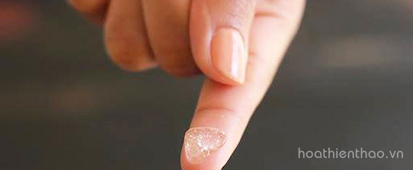 Sữa rửa mặt dạng gel làm sạch hiệu quả, không khô căng, nhờn rít