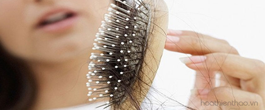 Tóc rụng khắp nơi là dấu hiệu bất ổn của cơ thể cần được điều trị