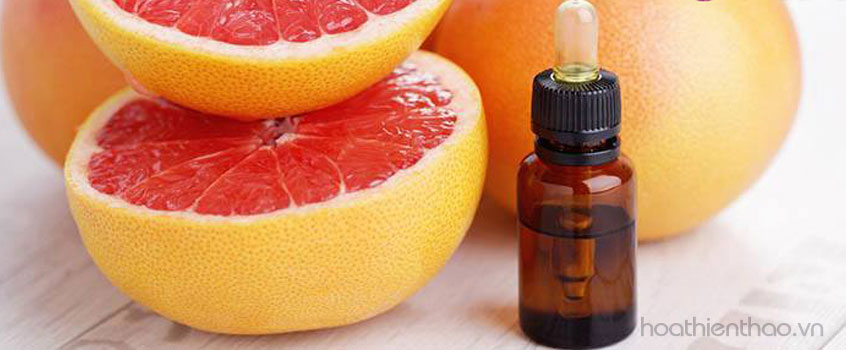 Bí kíp ngăn ngừa rụng tóc từ nguyên liệu tự nhiên