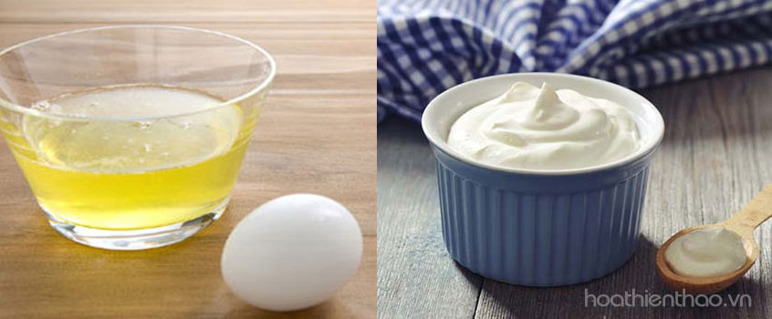 Hỗn hợp lòng trắng trứng và sữa chua trị tận gốc vấn đề rụng tóc của bạn