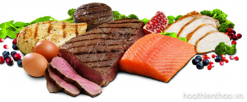 Bổ sung protein để tập thể dục giảm cân hiệu quả hơn