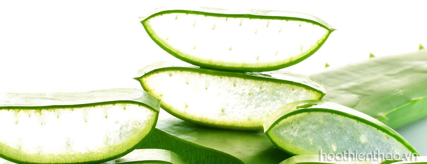 Mật ong là liệu pháp cổ truyền giúp xoá thâm và trị mụn hiệu quả