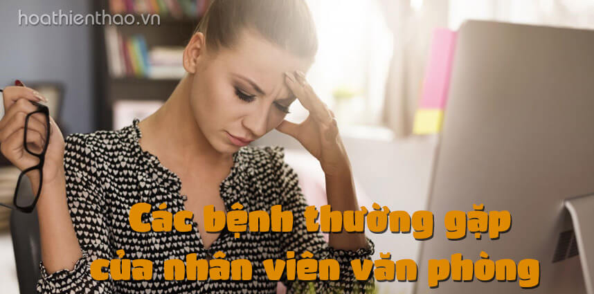 Các bệnh thường gặp của nhân viên văn phòng - Hoa Thiên Thảo