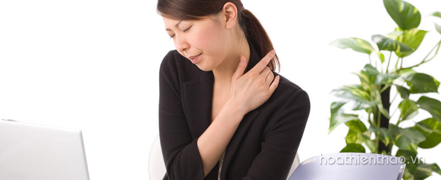 Các bệnh thường gặp của nhân viên văn phòng - Hoa Thiên Thảo