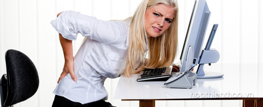 Các bệnh thường gặp của nhân viên văn phòng - Hoa Thiên Thảo