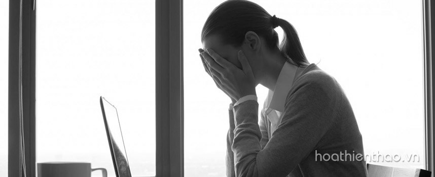 Các bệnh thường gặp của nhân viên văn phòng - Hoa Thiên Thảo