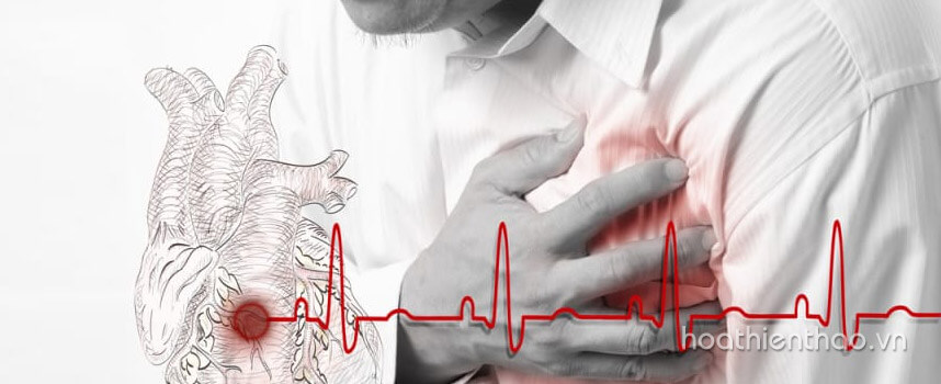 Các bệnh thường gặp của nhân viên văn phòng - Hoa Thiên Thảo