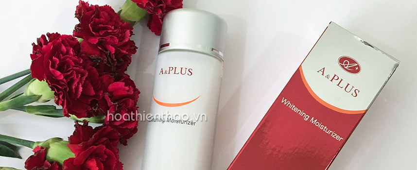 Các bước dưỡng da hiệu quả đón Giáng sinh - Hoa Thiên Thảo