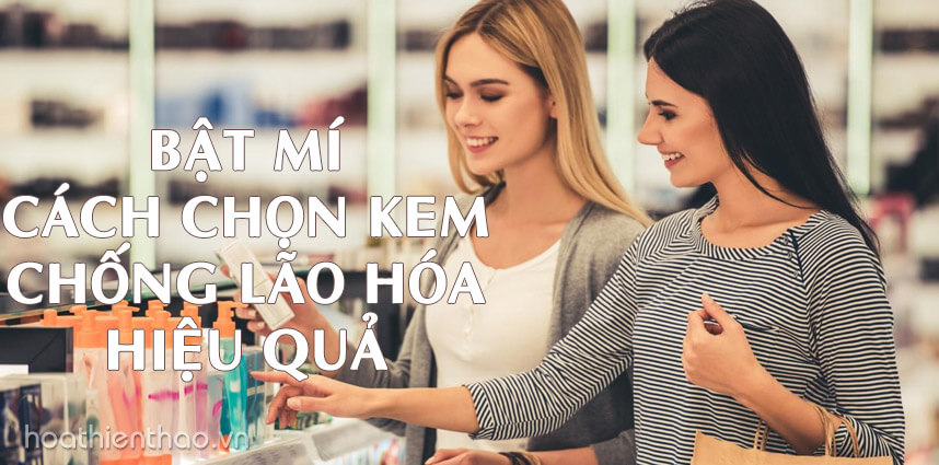 Bật mí cách chọn kem chống lão hóa hiệu quả - Hoa Thiên Thảo