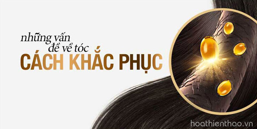 Cách khắc phục tóc yếu, gàu và gãy rụng hiệu quả