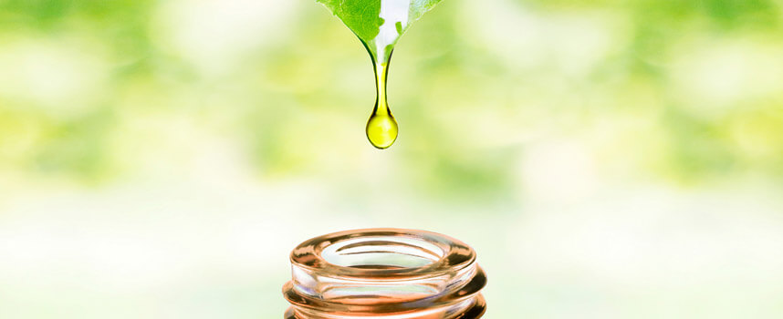 Cách làm đẹp bằng tinh dầu vừa sạch mụn lại an toàn cho da - Hoa Thiên Thảo