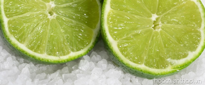 Phương pháp làm kem tẩy tế bào chết từ chanh và đường