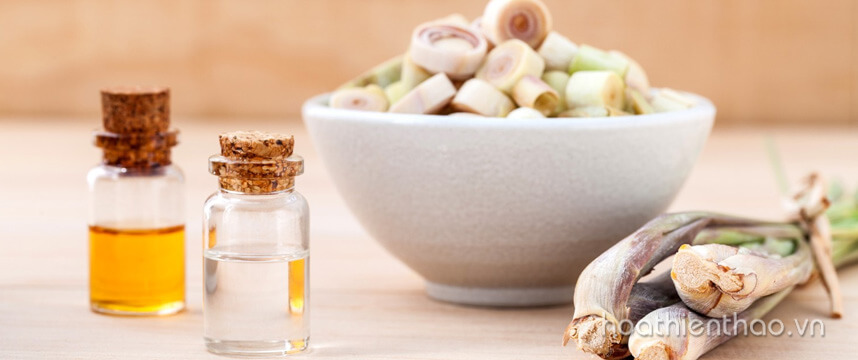 Bỏ túi cách làm tinh dầu sả dưỡng tóc - Hoa Thiên Thảo