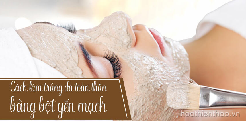 Cách làm trắng da toàn thân bằng bột yến mạch - Hoa Thiên Thảo