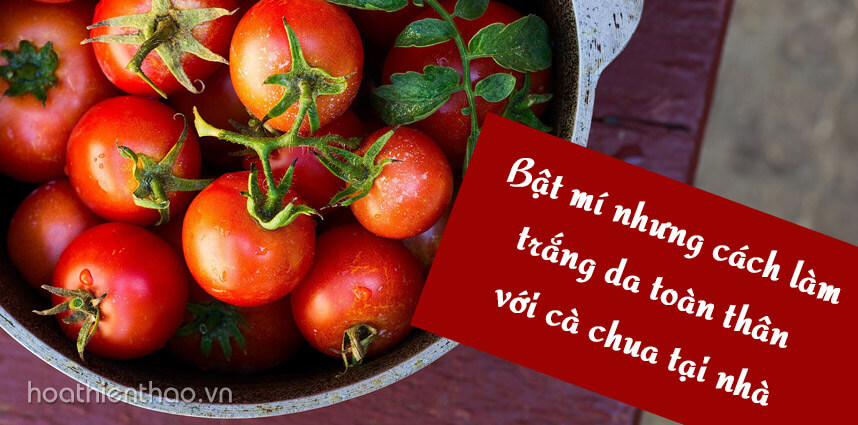 Bật mí những cách làm trắng da toàn thân với cà chua tại nhà
