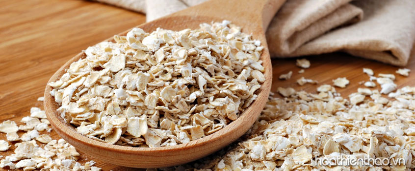 Hỗn hợp sữa tươi, bột yến mạch phục hồi da toàn thân sạm đen hiệu quả