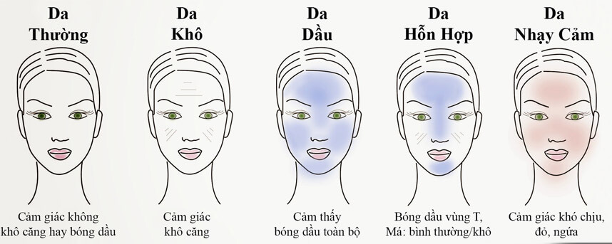 Cách xác định loại da chuẩn không cần chỉnh - Hoa Thiên Thảo