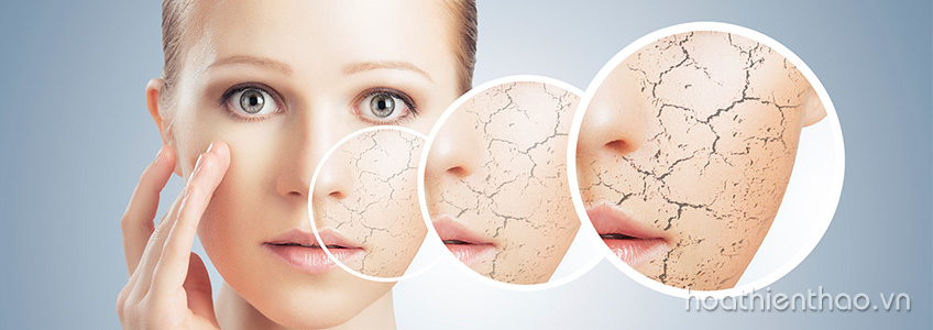 Cách chăm sóc da nhờn ban ngày hiệu quả nhất