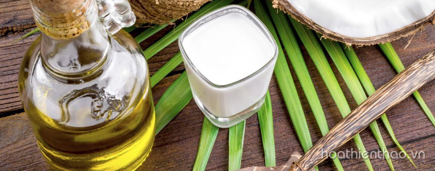 Chăm sóc da mùa Đông như thế nào - Hoa Thiên Thảo