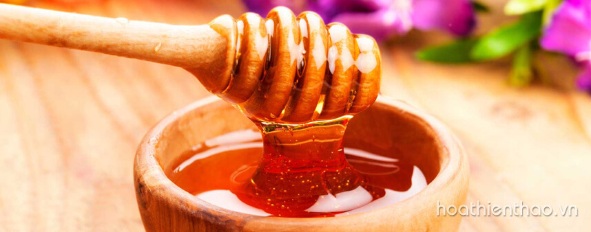 Chăm sóc da mùa Đông như thế nào - Hoa Thiên Thảo