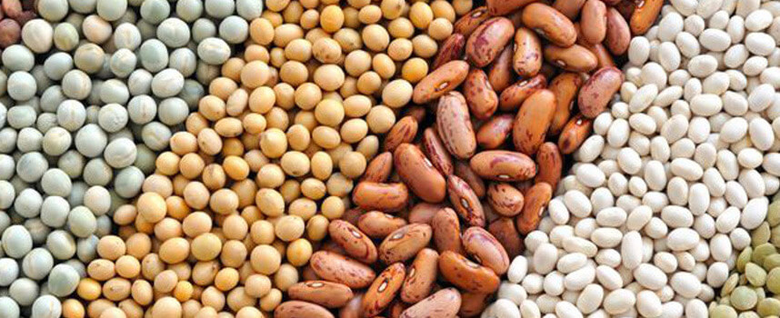 Chăm sóc tóc với 7 loại thực phẩm phổ biến trong nhà - Hoa Thiên Thảo