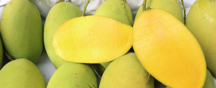 Chăm sóc tóc với 7 loại thực phẩm phổ biến trong nhà - Hoa Thiên Thảo