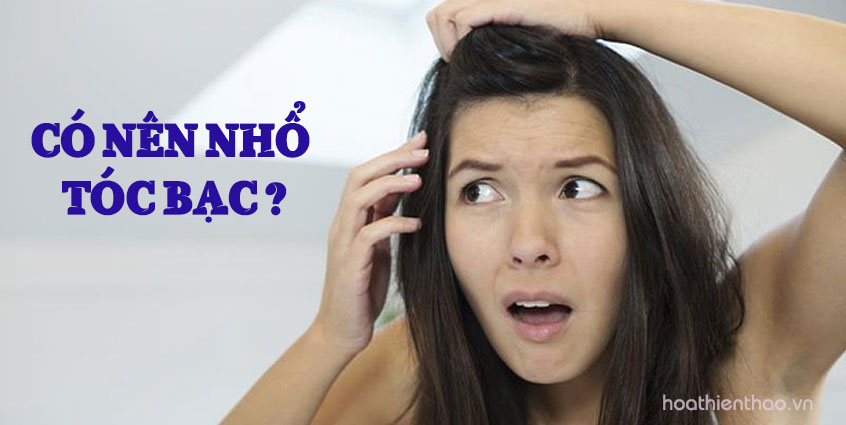 Có nên nhổ tóc bạc thường xuyên?